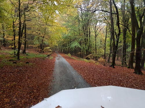 Herbstliche HANOMAG-Tour im Nationalpark Jasmund