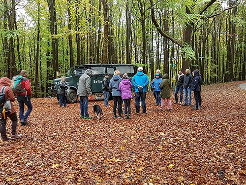 Herbstliche HANOMAG-Tour im Nationalpark Jasmund