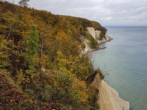 Herbstliche HANOMAG-Tour im Nationalpark Jasmund