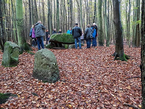 Herbstliche HANOMAG-Tour im Nationalpark Jasmund