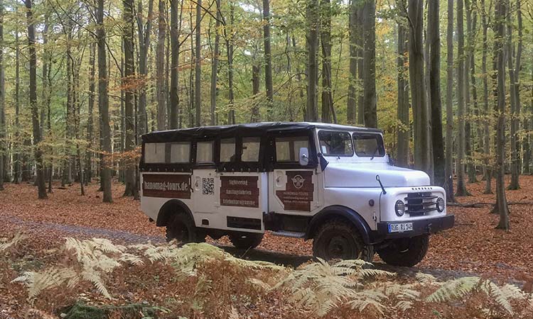 Im Buchenwald des Nationalparks Jasmund